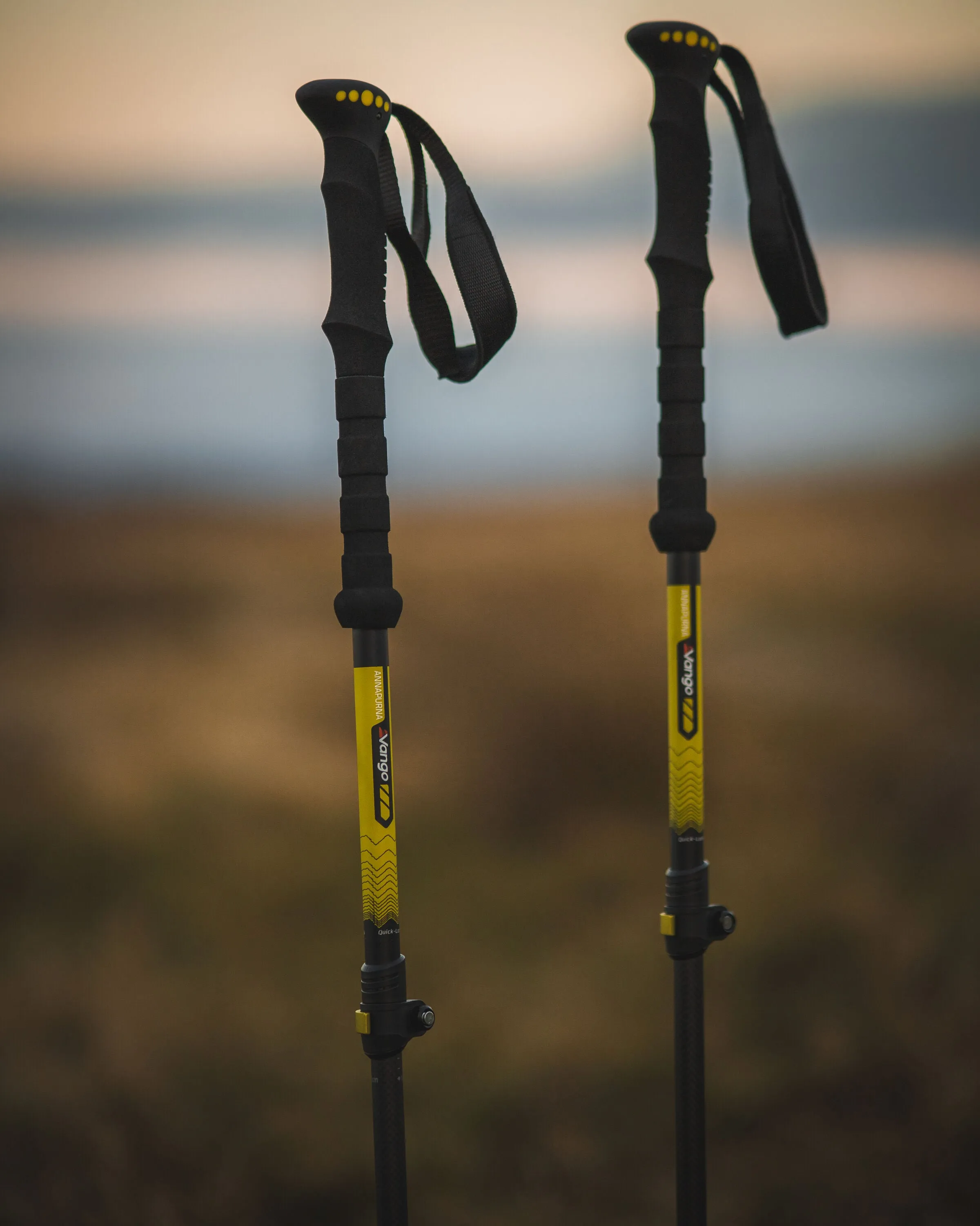 Annapurna Carbon Walking Pole