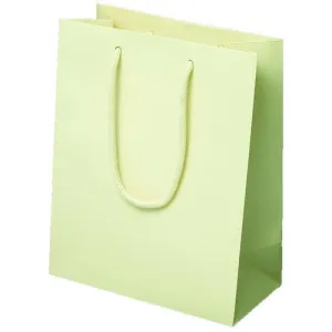 Ivory Matte Rope Handle Euro-Tote Shopping Bags - 8.0 x 4.0 x 10.0